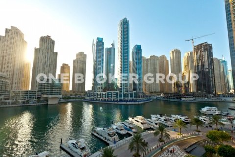 Квартира с 1 спальней в BAY CENTRAL, Дубай Марина, ОАЭ №95727 11