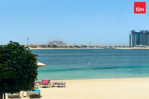 3 غرف نوم شقة في Dubai Harbour, الإمارات العربية المتحدة رقم 80698 23