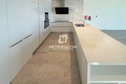 4 bedrooms Villa in District One, UAE No. 77784 14