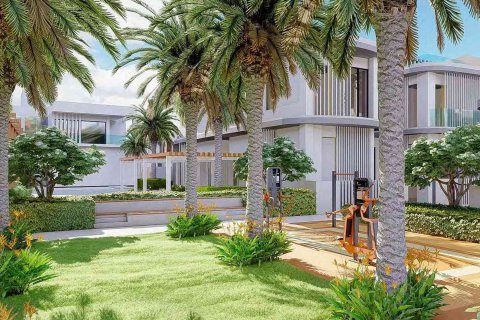 MURJAN AL SAADIYAT  No. 70103