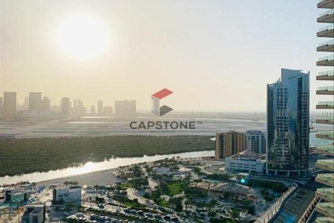 Квартира с 1 спальней в Shams Abu Dhabi, ОАЭ №86250 8