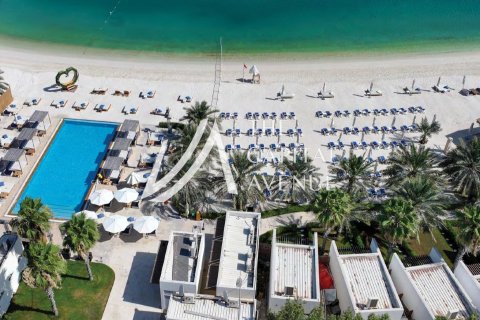 2 bedrooms Apartment on the Yas Island, UAE No. 86432 3