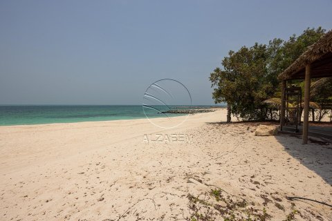 5 bedrooms Villa in Nurai Island, UAE No. 90361 12