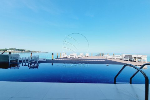 5 bedrooms Villa in Nurai Island, UAE No. 90361 2