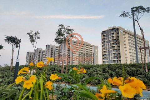 2 bedrooms Apartment in Dubai, UAE No. 21396 14