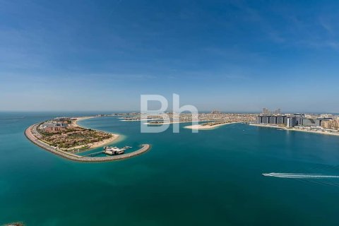 Квартира с 3 спальнями в Dubai Harbour, ОАЭ №68878 7