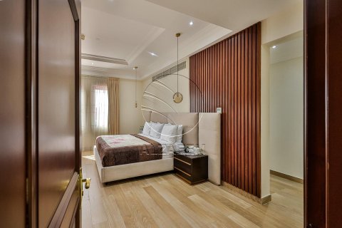 5 bedrooms Villa on the Saadiyat Island, UAE No. 91069 20