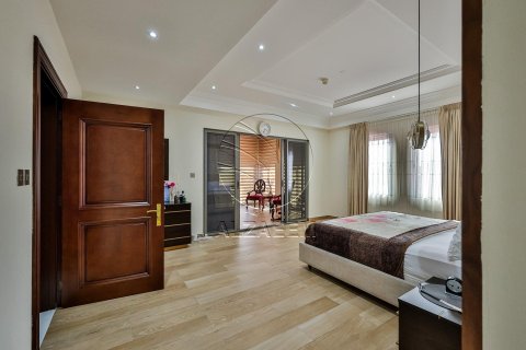 5 bedrooms Villa on the Saadiyat Island, UAE No. 91069 21