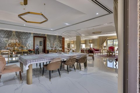 5 bedrooms Villa on the Saadiyat Island, UAE No. 91069 24