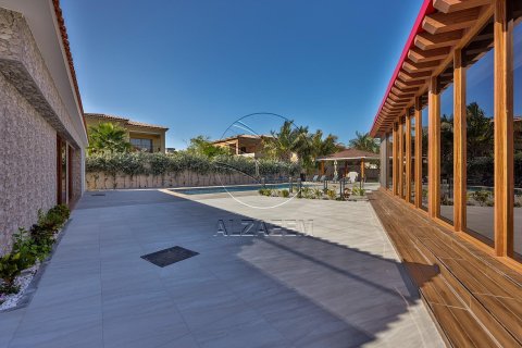 5 bedrooms Villa on the Saadiyat Island, UAE No. 91069 7