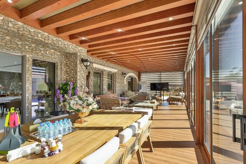 5 bedrooms Villa on the Saadiyat Island, UAE No. 91069 25