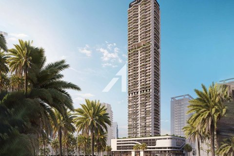 244.5مربع، مصنع  رقم 105937 2