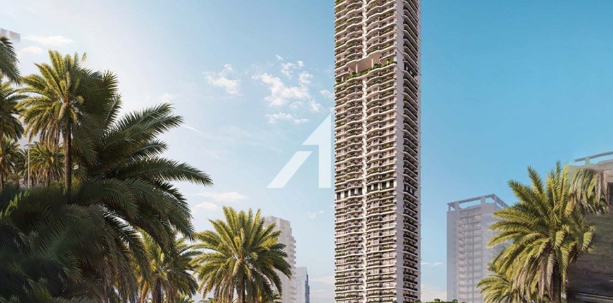 244.5مربع، مصنع  رقم 105937
