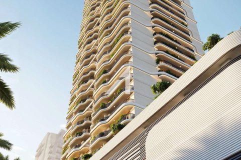 244.5مربع، مصنع  رقم 105937 11