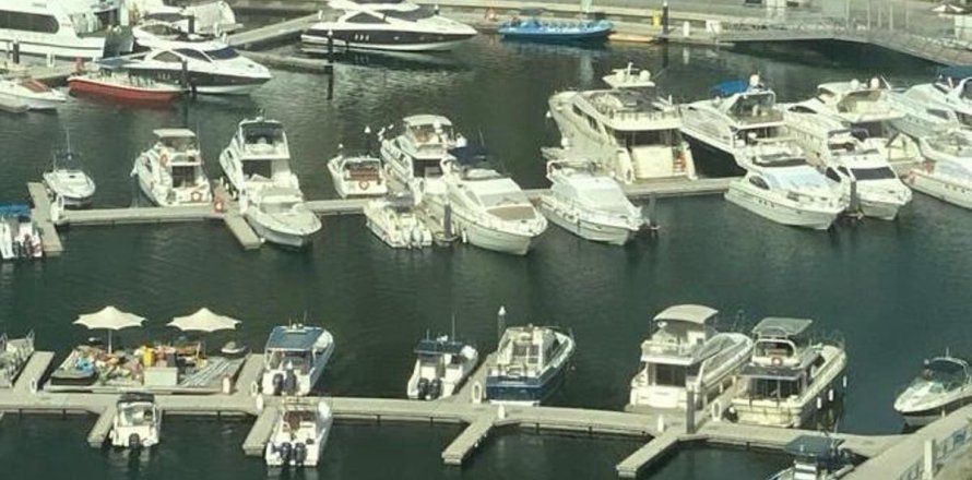 Appartement de Studio à Dubai Marina, UAE No. 100072