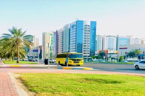 2972.9m² Land in Abu Dhabi, UAE No. 29083 3