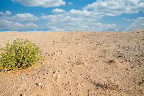 2392m² Land in Shams Abu Dhabi, UAE No. 79986 9