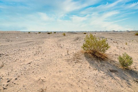 2392m² Land in Shams Abu Dhabi, UAE No. 79986 5