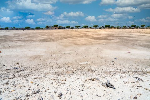 2392m² Land in Shams Abu Dhabi, UAE No. 79986 25