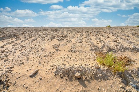 2392m² Land in Shams Abu Dhabi, UAE No. 79986 13