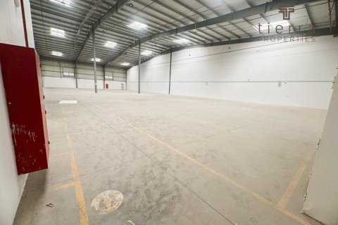 Warehouse de 2787.1m² à Jebel Ali, UAE No. 47649 5