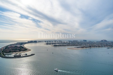 1 غرف نوم شقة في Dubai Harbour, الإمارات العربية المتحدة رقم 73165 4