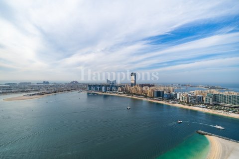 1 غرف نوم شقة في Dubai Harbour, الإمارات العربية المتحدة رقم 73165 5