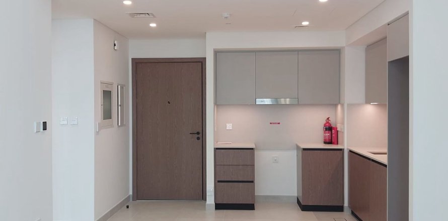 Apartment de 1 dormitorio en Dubai, UAE No. 89479