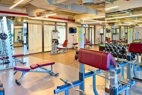 3 غرف نوم شقة في The cove, الإمارات العربية المتحدة رقم 81786 19