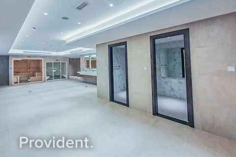 Квартира в Даунтаун Дубай (Даунтаун Бурдж Дубай), ОАЭ №2104 21