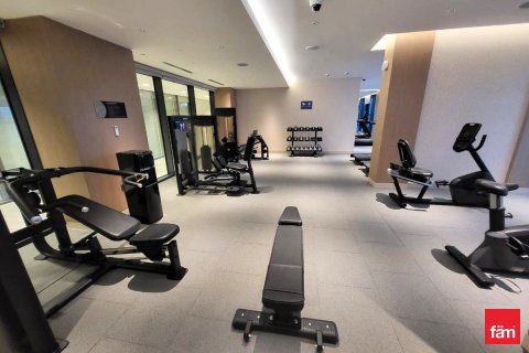 2 bedrooms Apartment in Dubai, UAE No. 105581 21