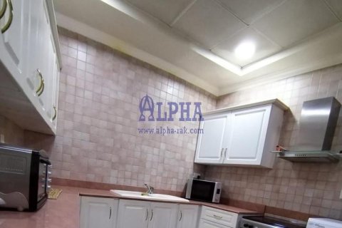 1 غرف نوم شقة في Al Hamra Village, الإمارات العربية المتحدة رقم 105902 9