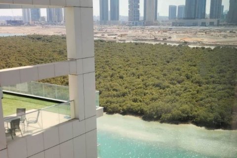 Apartment de 43m² en Shams Abu Dhabi, UAE No. 79162 1