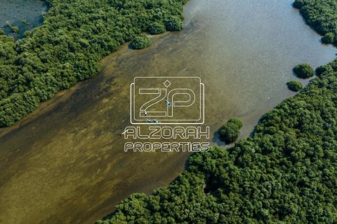Квартира с 1 спальней в Al Zorah, ОАЭ №73239 30
