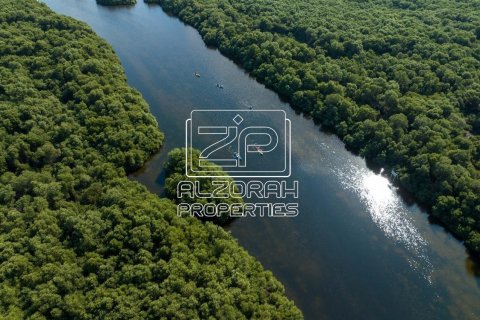 Квартира с 1 спальней в Al Zorah, ОАЭ №73239 25