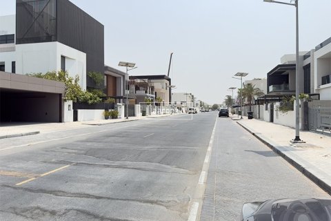 Земельный участок 738.5м² в Jumeirah Park, ОАЭ №104803 3