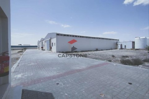 2158m² Shop in Al Ain Industrial Area, UAE No. 83179 8