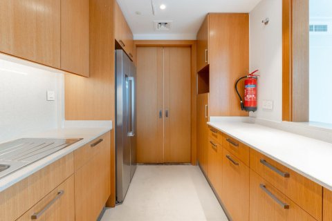 Appartement de 2 chambres à Downtown Dubai (Downtown Burj Dubai), UAE No. 101586 9