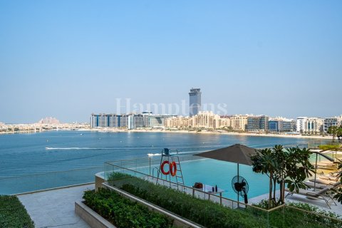 2 غرف نوم شقة في Dubai Harbour, الإمارات العربية المتحدة رقم 72926 14
