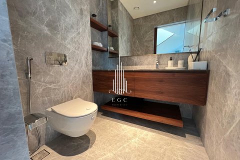 5 bedrooms Villa on the Saadiyat Island, UAE No. 73342 25