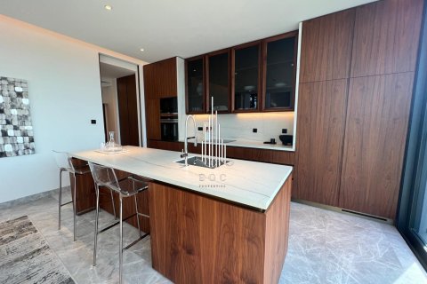 5 bedrooms Villa on the Saadiyat Island, UAE No. 73342 19