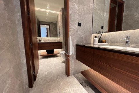 5 bedrooms Villa on the Saadiyat Island, UAE No. 73342 22