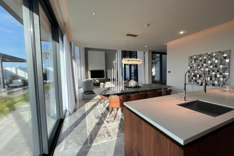 5 bedrooms Villa on the Saadiyat Island, UAE No. 73342 18