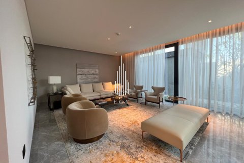 5 bedrooms Villa on the Saadiyat Island, UAE No. 73342 1
