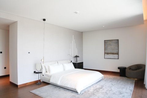 5 bedrooms Villa on the Saadiyat Island, UAE No. 29134 13