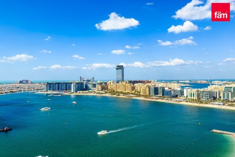 3 bedrooms Apartment in Dubai Harbour, UAE No. 45331 10