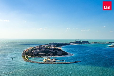 3 bedrooms Apartment in Dubai Harbour, UAE No. 45331 1