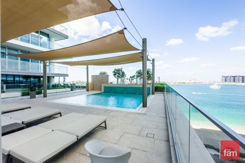 Apartment de 3 dormitorios en Dubai Harbour, UAE No. 100321 30