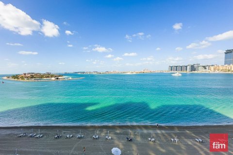 Apartment de 3 dormitorios en Dubai Harbour, UAE No. 100321 24