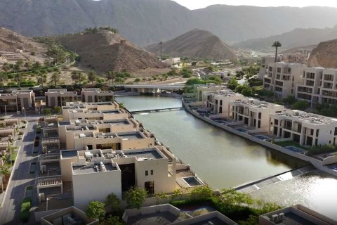 Nameer Island à Oman No. 53248